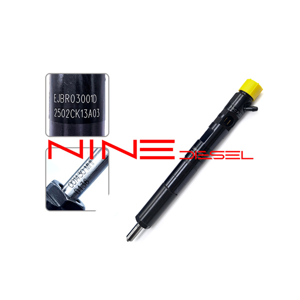 Injector 03001D